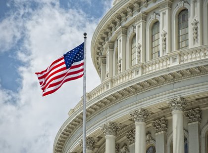 government